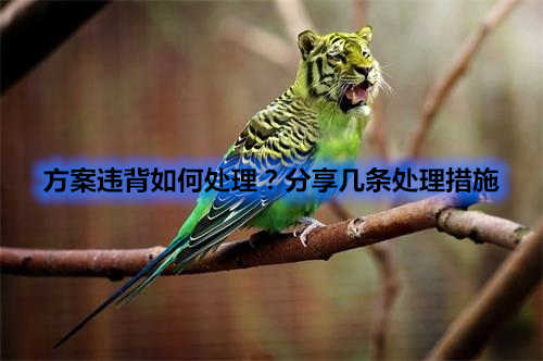 方案違背如何處理？分享幾條處理措施(圖1)