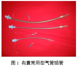 氣管插管產(chǎn)品注冊審查指導(dǎo)原則（2024修訂版）（2024年第21號）(圖1)