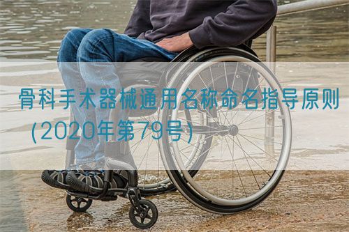 骨科手術(shù)器械通用名稱命名指導(dǎo)原則(2020年第79號(hào))(圖1) 骨科手術(shù)器械通用名稱命名指導(dǎo)原則(2020年第79號(hào))(圖1)