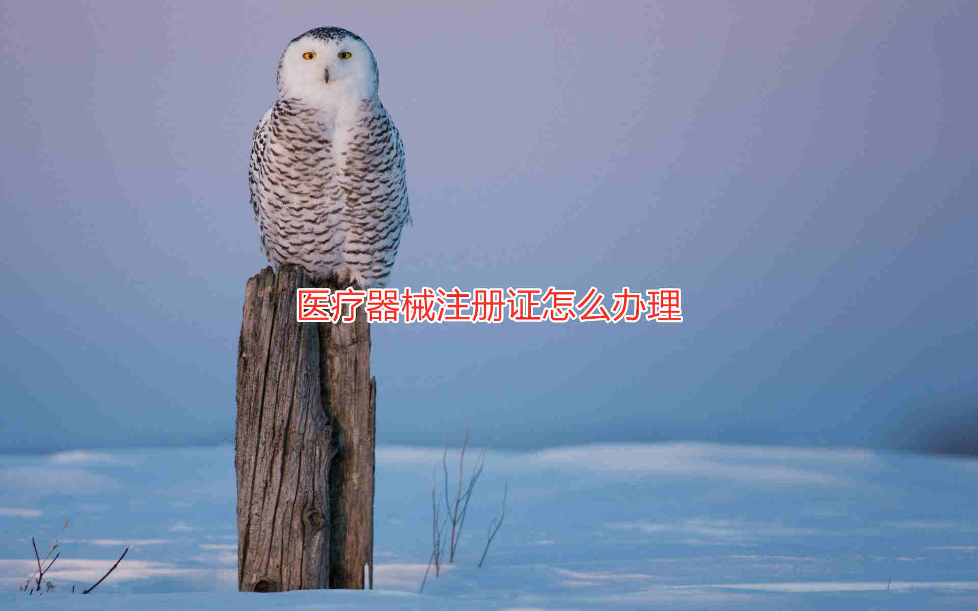 三類醫(yī)療器械注冊證辦理流程和周期說明